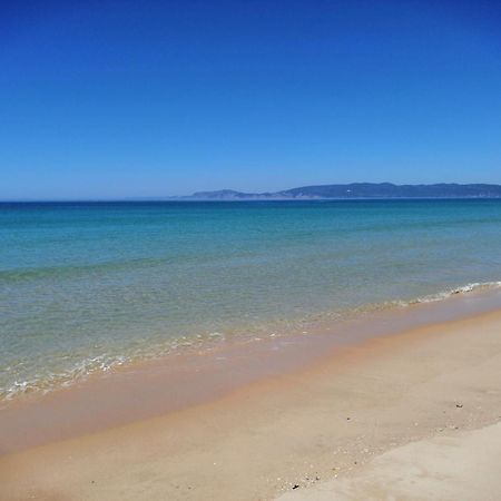 Alcácer do SalCasa Do Largo别墅 外观 照片